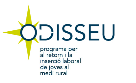 El Programa de Pràctiques Odisseu obre la seva cinquena convocatòria d’ajuts al Pràcticum Odisseu