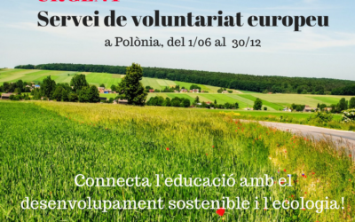 Servei de Voluntariat Europeu a Polònia