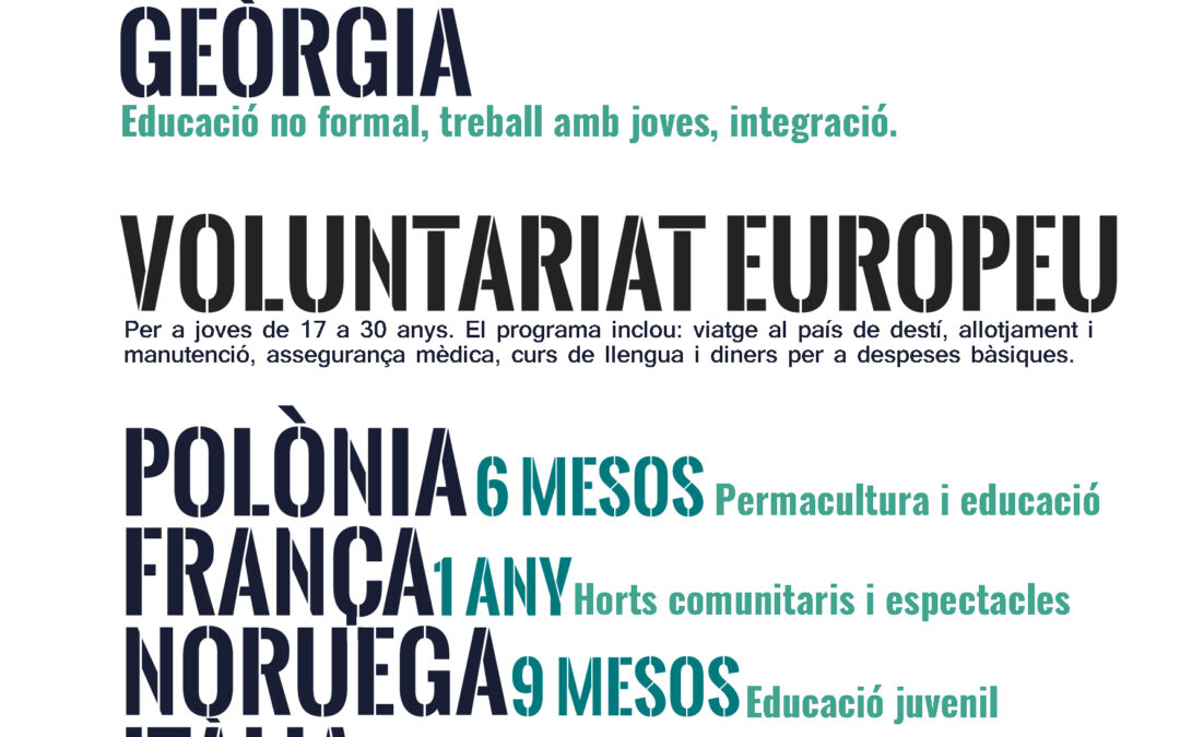 Formacions Internacionals i Voluntariat Europeu