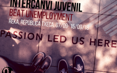 Intercanvi juvenil: Beat Unemployment