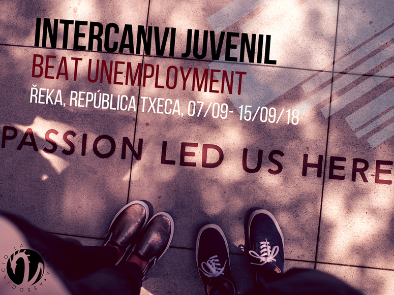 Intercanvi juvenil: Beat Unemployment