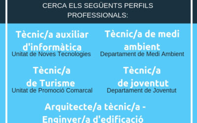 Convocatòria de Joves en Pràctiques al Consell Comarcal de l’Anoia