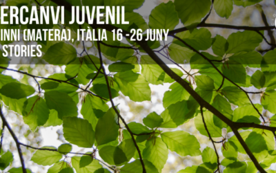 Intercanvi juvenil – Tree Stories