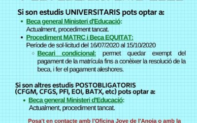 Beques per a estudis postobligatoris 2020/2021