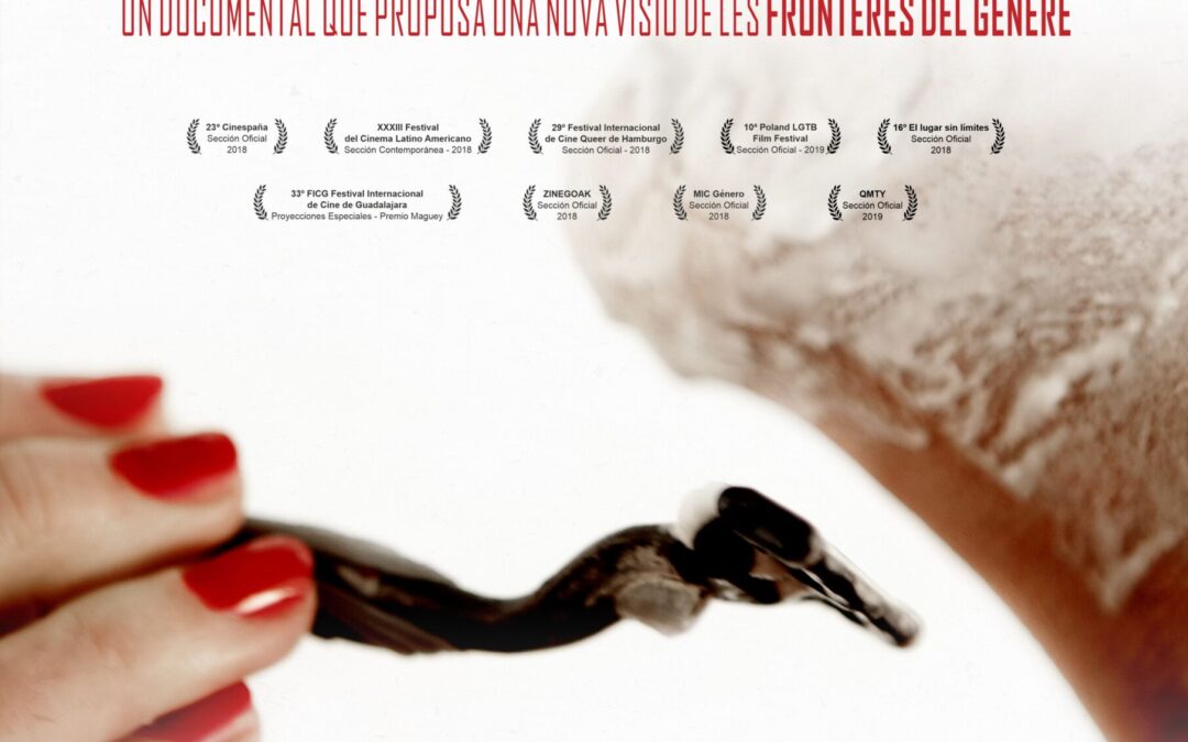 CineFòrum: En/Femme (2018), Alba Barbé i Serra