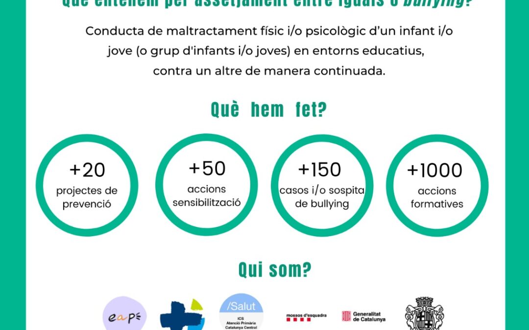 La comissió que treballa per a la prevenció del bullying a la comarca de l’Anoia compleix cinc anys d’activitat